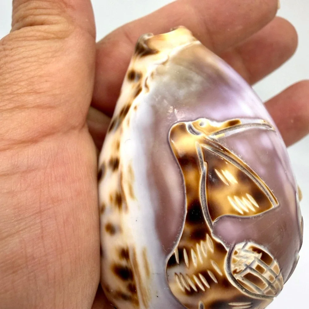 Vintage Carved Tiger Cowrie Shell‎ Pair Pelican Seahorse Cameo Coastal Estate